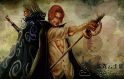 在游戏中谁的能力不属于自然系 航海王燃烧意志11月30日每日一题答案