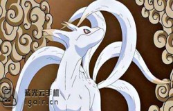 五尾人柱力叫什么名字 火影忍者手游12月6日每日一题