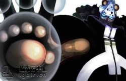 大熊的80级天赋是什么 航海王燃烧意志1月3日每日一题答案 大熊的80级天赋是什么 航海王燃烧意志1月3日每日一题答案