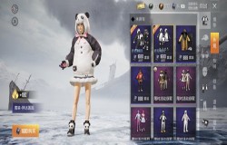 和平精英胖达圆圆怎么得 胖达圆圆获取方式介绍 和平精英胖达圆圆怎么得 胖达圆圆获取方式介绍