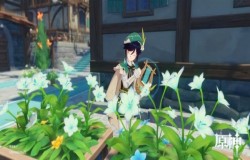 原神风花节选什么花 原神风花节花束推荐 原神风花节选什么花 原神风花节花束推荐